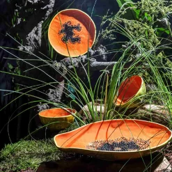 Sale Tropical Fruits Papaya Serving Platter, 35x23cm Table Setting|Serveware