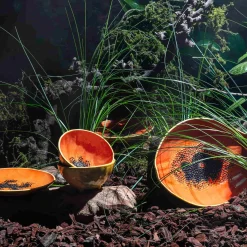 Sale Tropical Fruits Papaya Serving Platter, 35x23cm Table Setting|Serveware