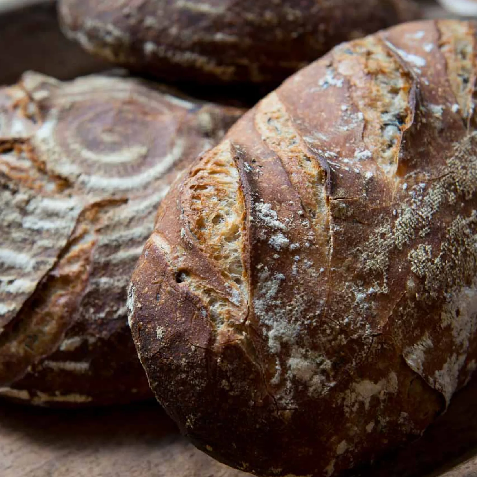 Outlet Bordelaise Lame - Bread Scoring Blade Kitchen Knives|Baking Supplies & Equipment