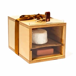 New Mezzo Cheese Storage Tableware Brands|Food Storage & Containers