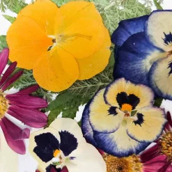 New Edible Dried & Pressed Flower & Leaf Mix, 20 pieces Ingredients Brands|Baking Ingredients