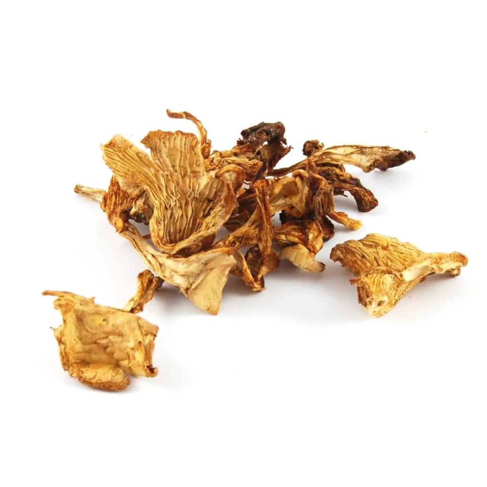 Clearance Girolle Mushrooms, 500g Ingredients Brands|French Ingredients