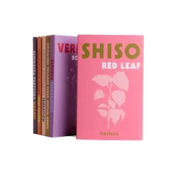 Clearance Modern Garden Grow Kit Tableware Brands