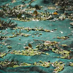 Online Extra Virgin Greek Olive Oil, 500ml Greek Ingredients|Oil, Vinegar & Dressings