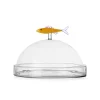Best Orange Sardine Snack Plate with Cloche, 20x14cm Tableware Brands