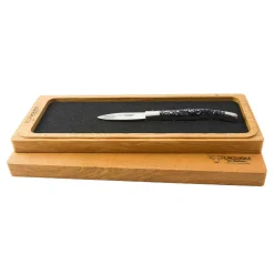 New Mussel Shell Handle Oyster Knife Kitchen Knives