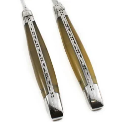 Clearance Set of 2 Steak Knives, Solid Horn French Ingredients|Kitchen Knives