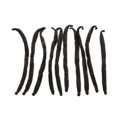 New Madagascan Vanilla Pods x 10 Herbs & Spices|Ingredients Brands