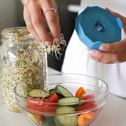 Outlet Wide Mouth Bean Screens Sprouting Lids, Set of 2 Pickling, Preserving & Fermenting Jars