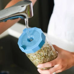 Outlet Wide Mouth Bean Screens Sprouting Lids, Set of 2 Pickling, Preserving & Fermenting Jars