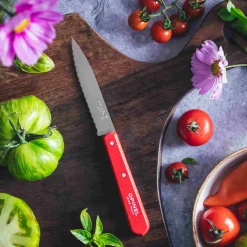 Hot No 113 Red Beechwood Handle Serrated Paring Knife, 10cm Kitchen Knives