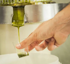 Sale Roasted Bronte Pistachio Oil, 100ml Ingredients Brands|Italian Ingredients