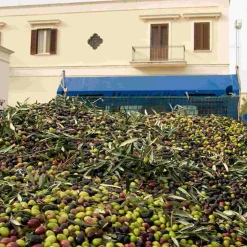 Sale Puglian Extra Virgin Olive Oil in Red Splatter Ceramic Bottle, 500ml Ingredients Brands|Italian Ingredients