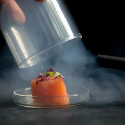 Smoking Gun Kitchen Electricals|Food Smokers