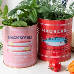 Outlet Set of 2 Mackerel & Anchovies Utensil Jars Tableware Brands