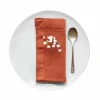 Best Set of 2 Rust Linen Napkins Table Setting|Kitchen Textiles & Clothing