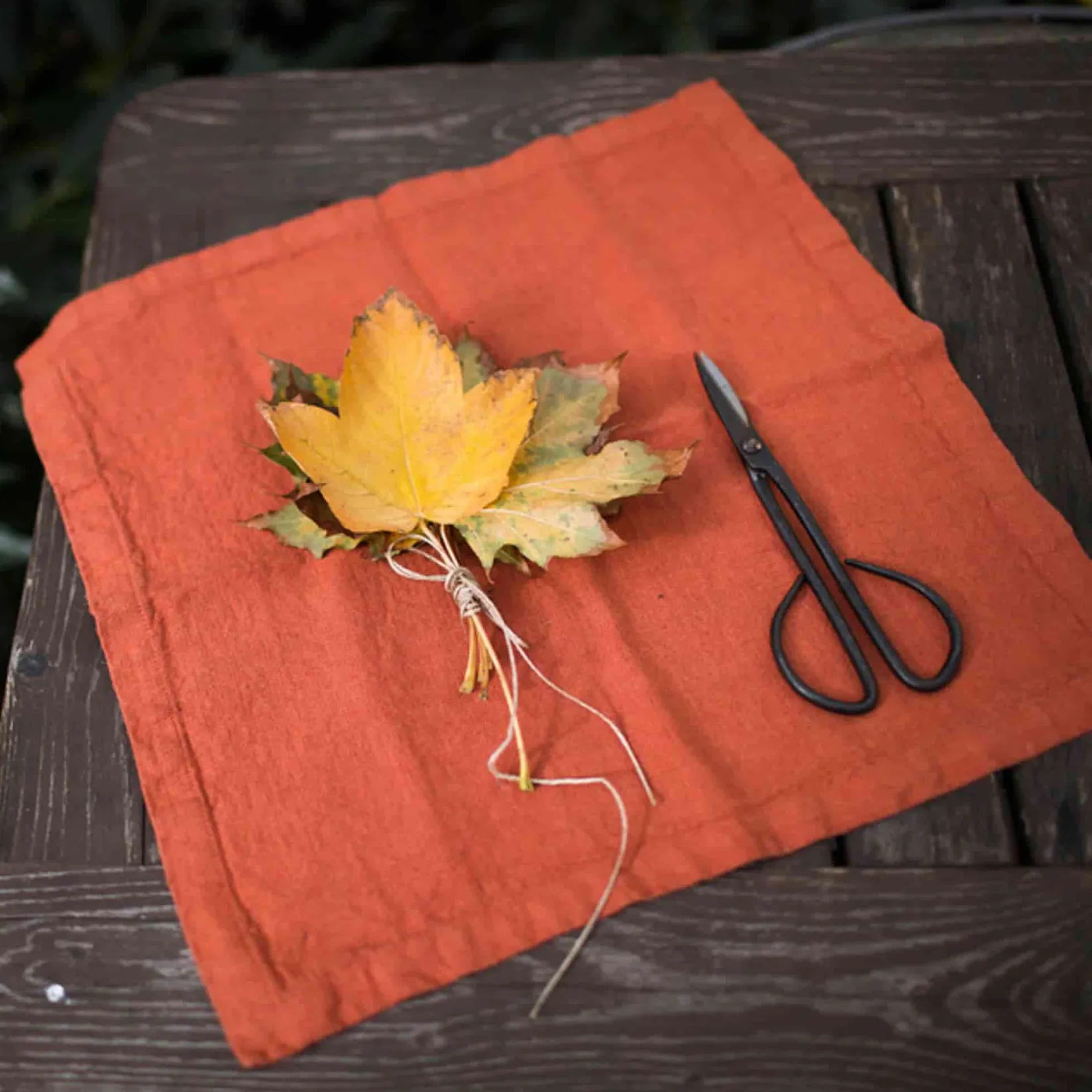 Best Set of 2 Rust Linen Napkins Table Setting|Kitchen Textiles & Clothing