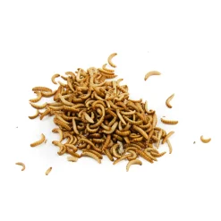 Discount Short Dated Edible Buffalo Worms, 20g Ingredients Brands|Made In The Uk