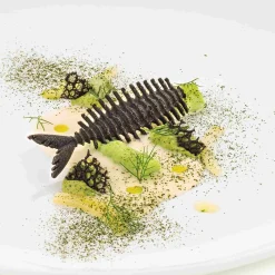 Discount Pesce Professional Food Mould Baking Supplies & Equipment