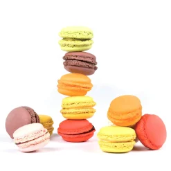 Outlet Silicone Macaron Baking Mat, 30x40cm Italian Ingredients|Baking Supplies & Equipment