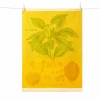 Clearance Citrus French Jacquard Tea Towel Kitchen Textiles & Clothing