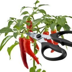 New Take Apart Kitchen & Herb Scissors Kitchen Tools & Utensils