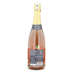 Sale Turdion Cava Brut Rose, 750ml Ingredients Brands|Spanish Ingredients