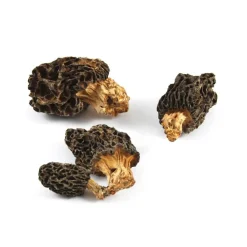Discount Wild Morel Mushrooms, 30g Ingredients Brands|Italian Ingredients